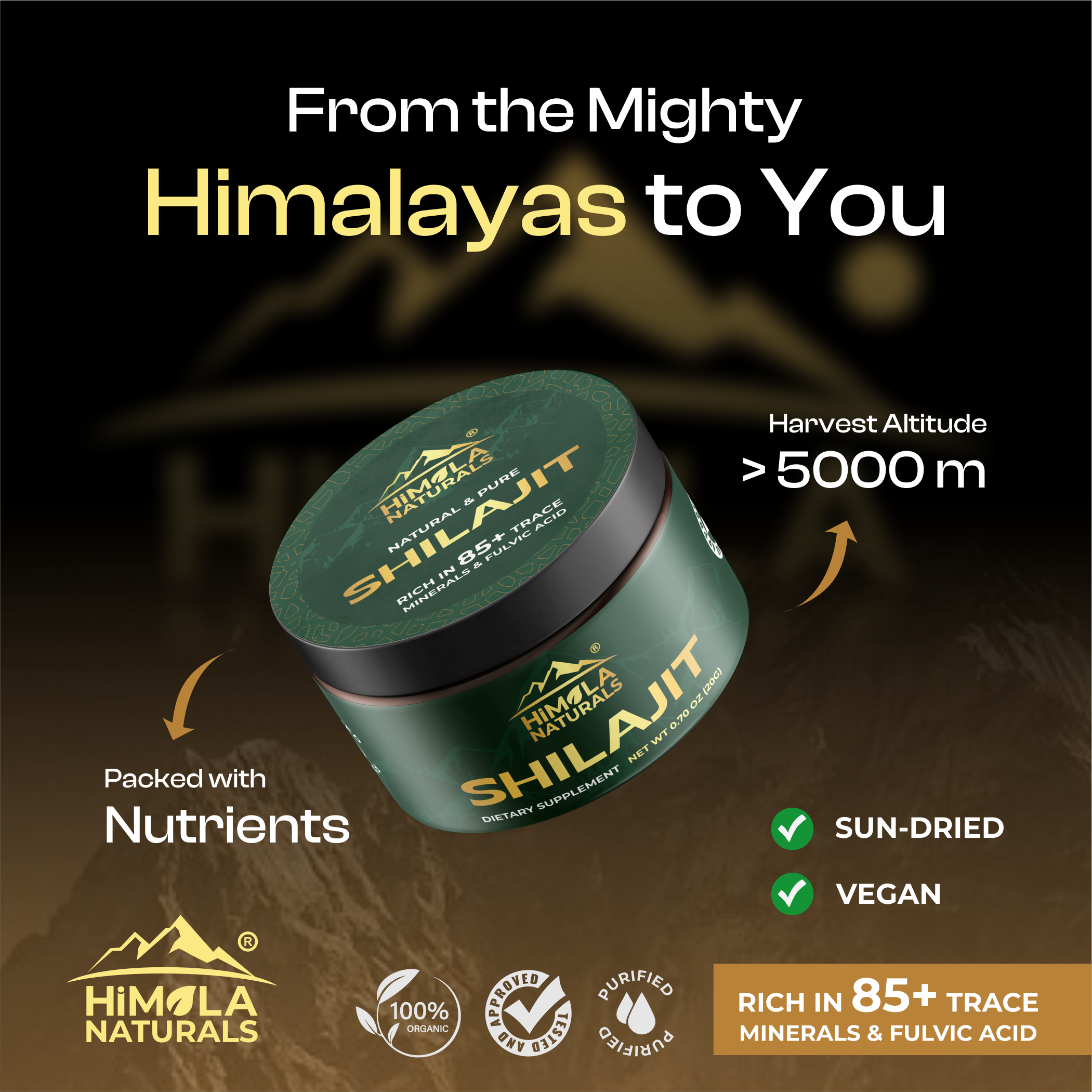 Premium Shilajit — Pure Himalayan Resin (20g / 30g) | Himala Naturals